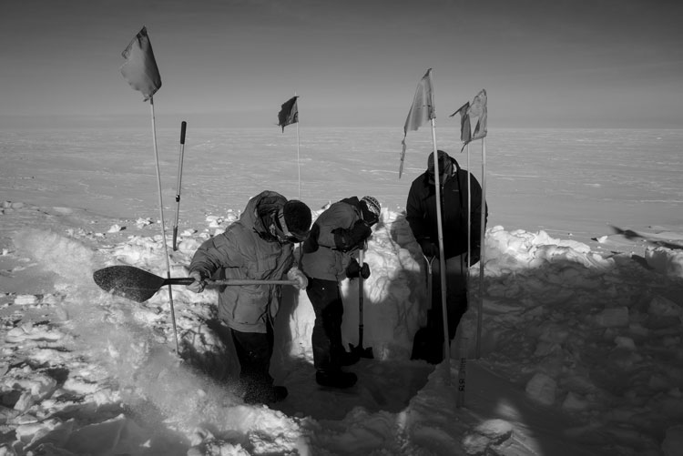 Black and white photo of people in parkas outside digging in snow