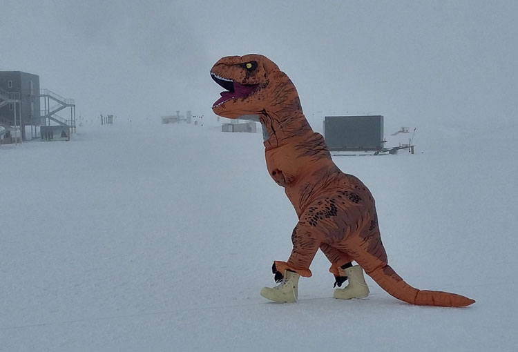 Person in large TRex costume out walking at the South Pole