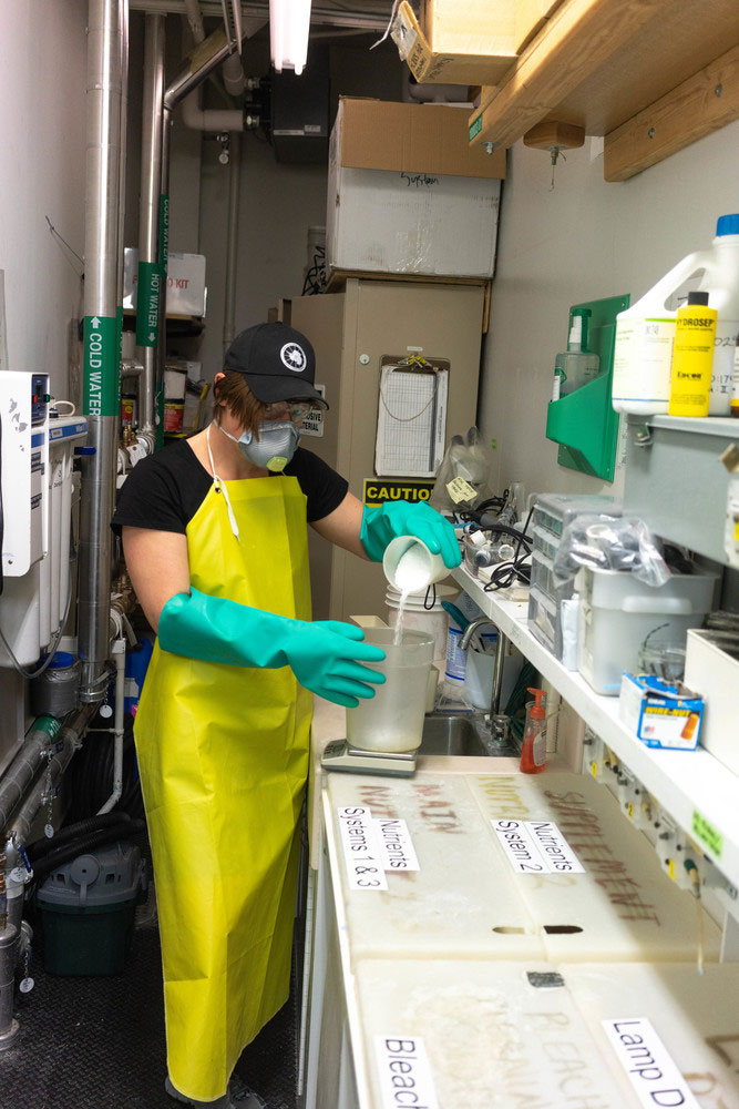 Person in apron, gloves and mask mixing something up