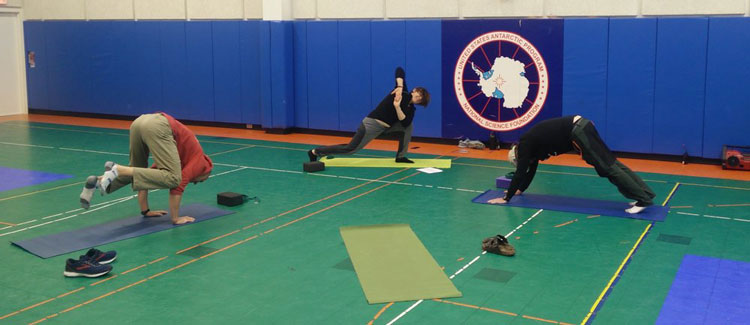 Three people in yoga poses on floor mats in gym