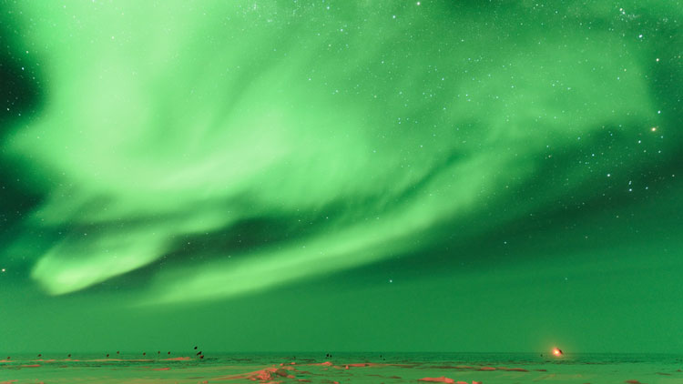 Bright green auroras, snow below illuminated in green