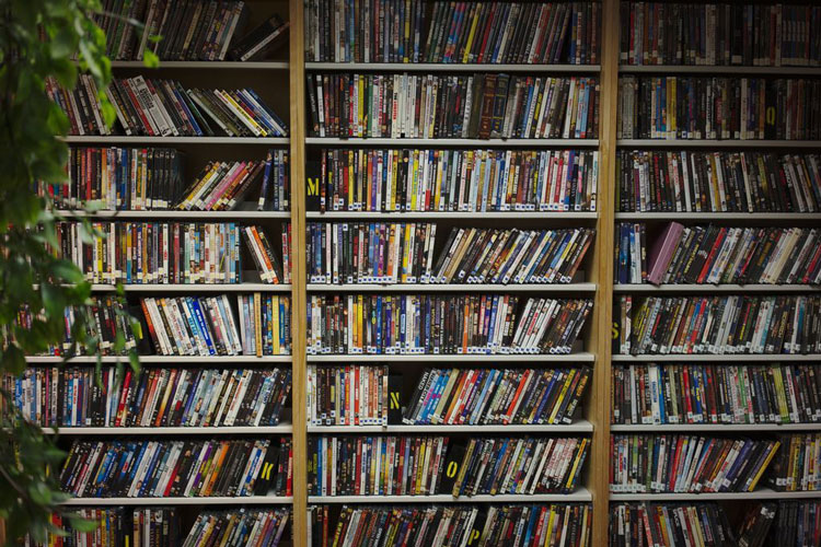 Bookshelves filled with DVDs