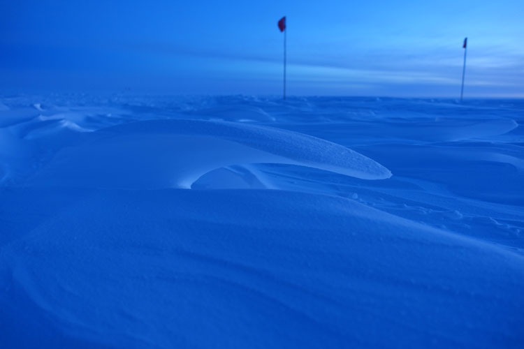 Blue-lit landscape of sastrugi (snow drifts).