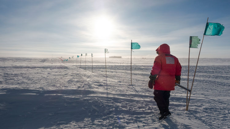 Person in red parka seen from behind as they walk along flag line to the South Pole station.