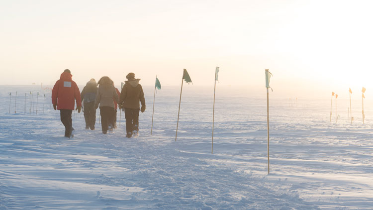 Group from behind as they walk back to the South Pole station along a flag line.