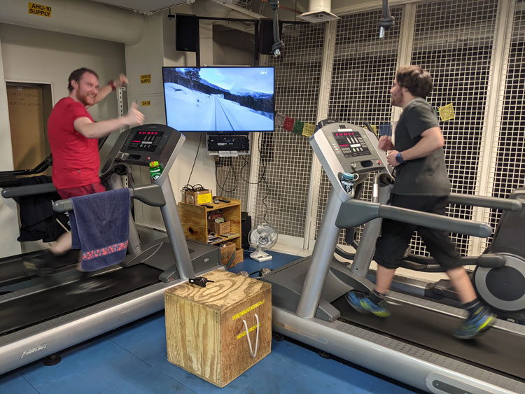 Two people running on treadmills facing a monitor.