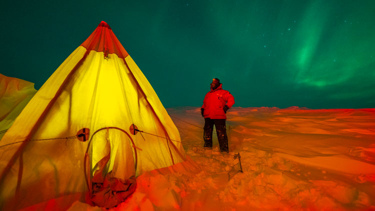 Night shot of person standing outside a pitched tent with green aurora sky.