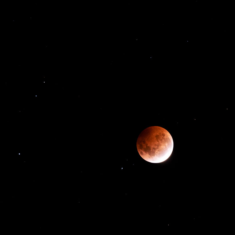 Close-up of super blood moon.