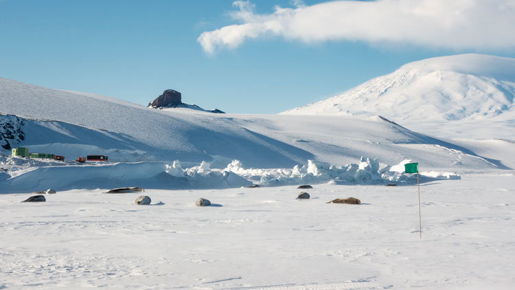 Seals lying on surface of ice near pressure ridge.