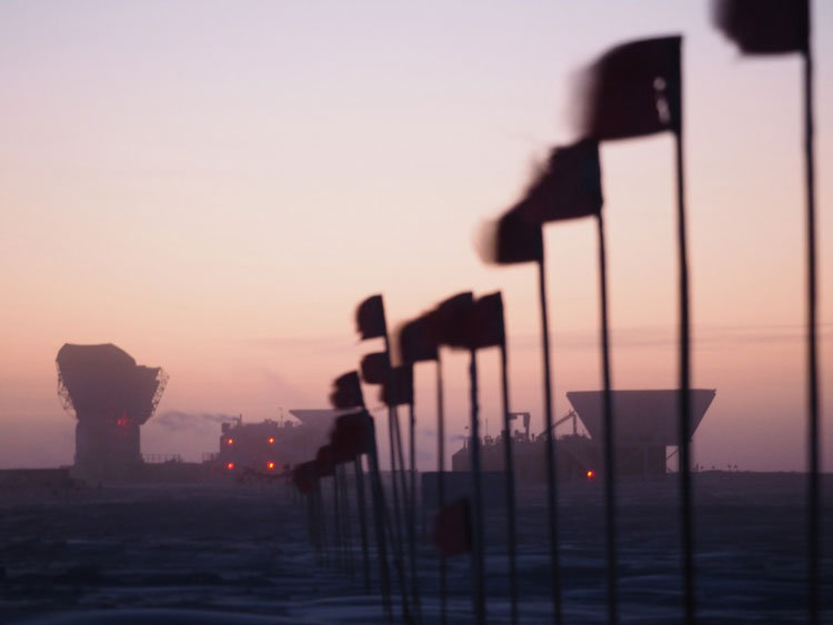 Dark sector flag line with pinkish sky at twilight.