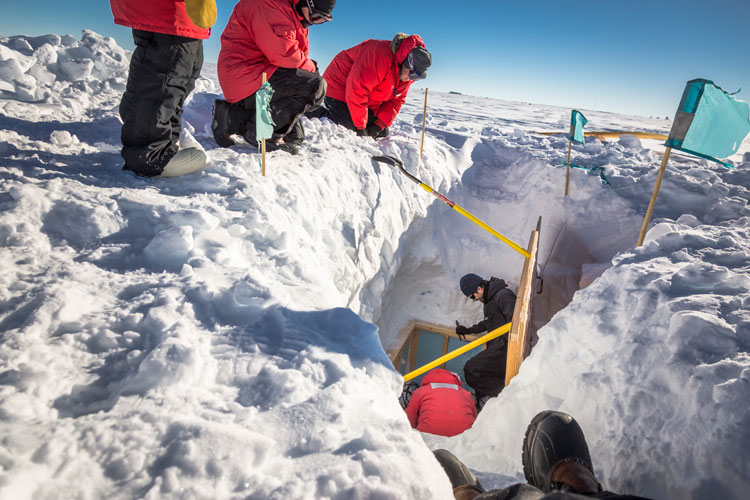 uncovering a buried detector station