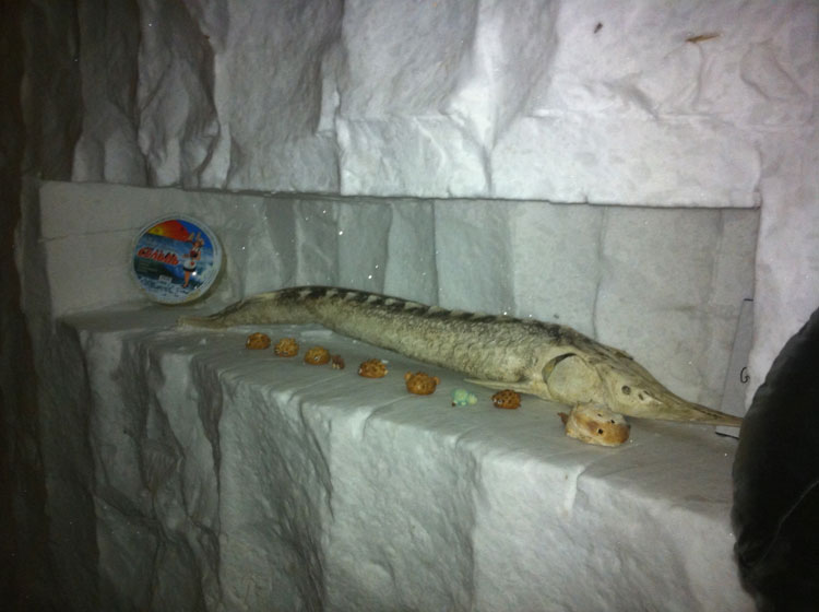 fish shrine in ice tunnel